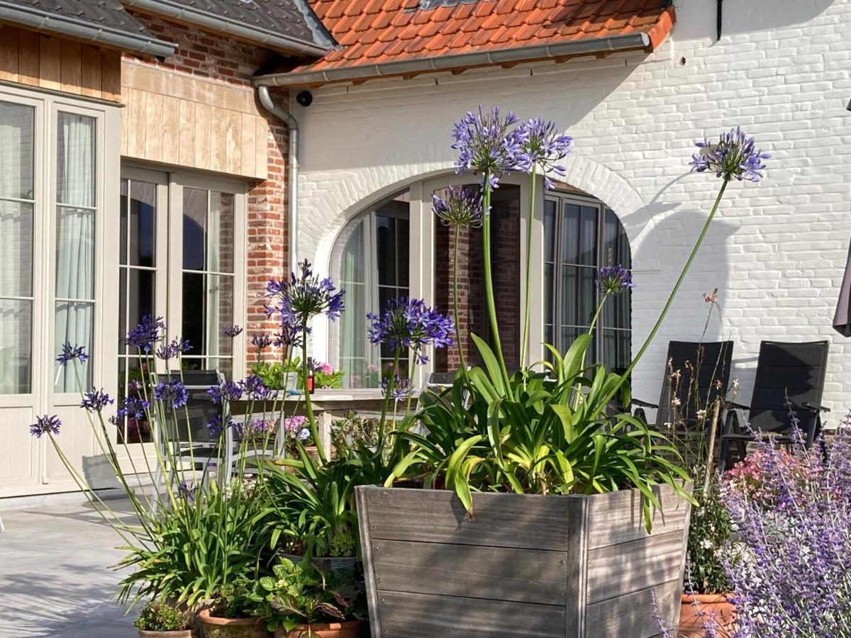 B&B Waterput 1 Stalhille Exteriér fotografie